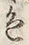 文字色