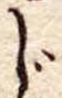 Located じ