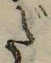 位置 確認된 だ