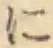 Chữ に