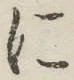 글자 に