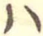 𛂞 위치 확인됨