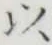 글자 以