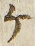 「ケ」字