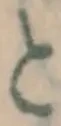 글자 と