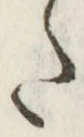 “た”字