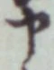 글자 申