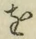 글자 を