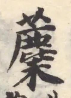 蘪 위치 확인됨