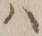 字ハ