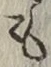 文字 も