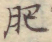 文字肥