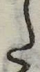 Đã định vị 𛁠