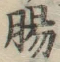 文字腸