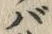 字ば