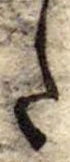 𛁠 위치 확인됨