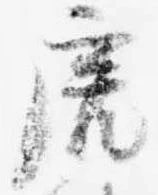 虎 위치 확인됨