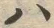 𛂞 위치 확인됨