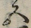 五 위치 확인됨