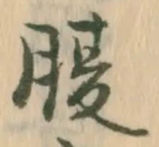 글자 腹
