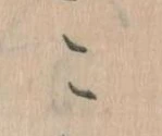 こ 위치 확인됨