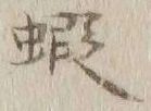 글자 蝦