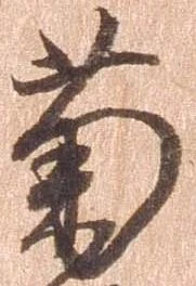菊 위치 확인됨