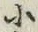 글자 小
