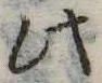 此の位置