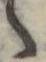 ゝ 위치 확인됨