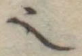 𬻿 위치 확인됨