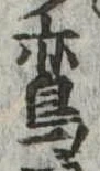 鵉 위치 확인됨