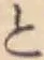 文字と