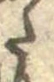 𛁠 위치 확인됨
