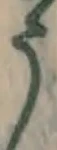 文字 う