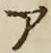 字ア