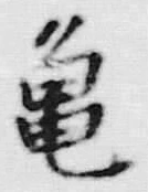 文字亀