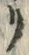 “リ”字