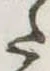 𛁠 위치 확인됨
