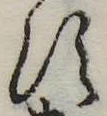𛁑 위치 확인됨