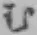 文字む