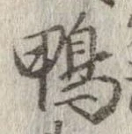 鴨 위치 확인됨
