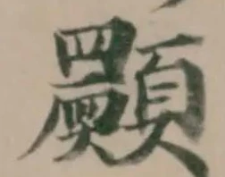 𩕾 위치 확인됨
