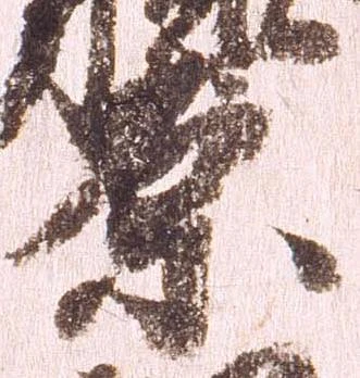 已定位腹