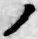 字ノ