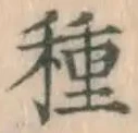 글자 種