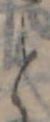 位置 確認된 と