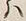 文字ハ