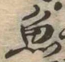 魚 위치 확인됨