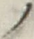 字ノ